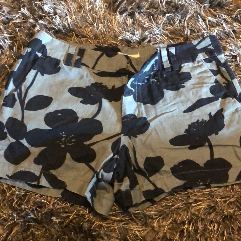 Brand new loft shorts